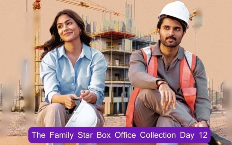The Family Star Box Office Collection Day 12
