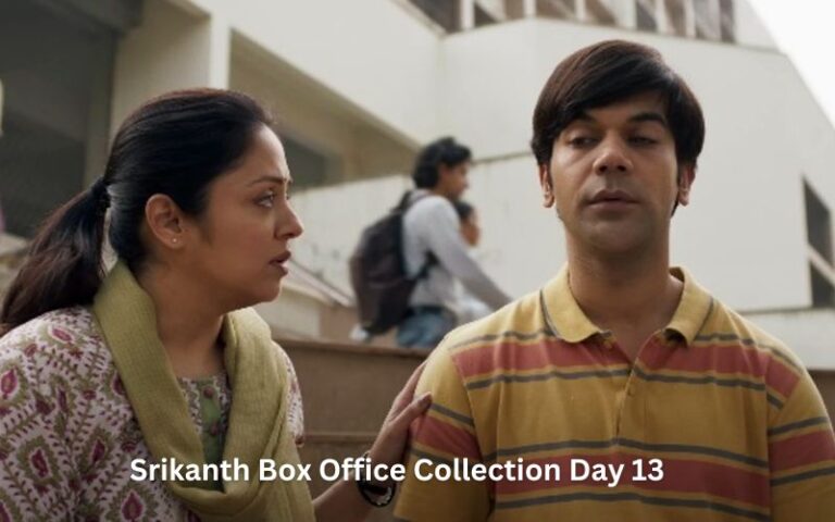 Srikanth Box Office Collection Day 13